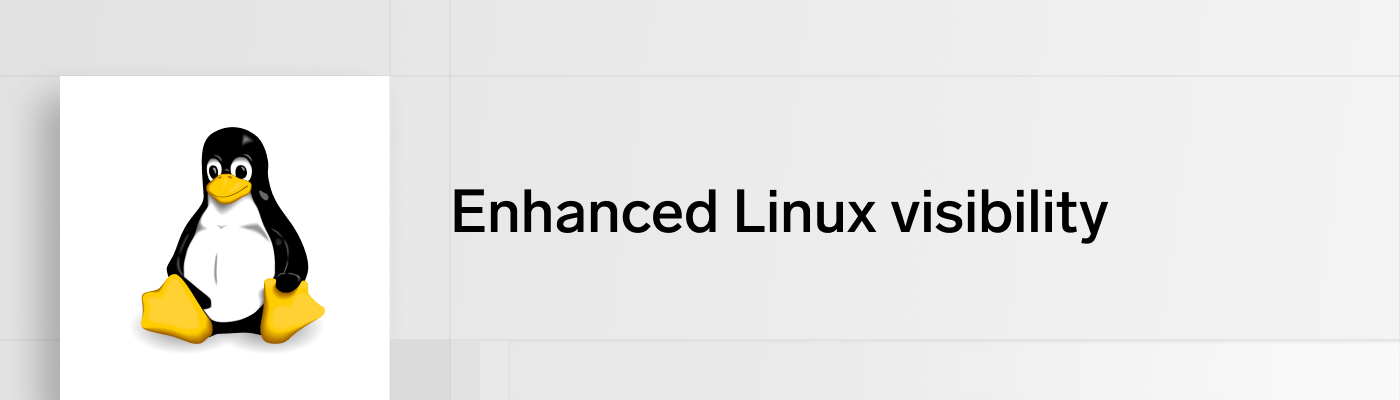 Enhanced Linux Visibility